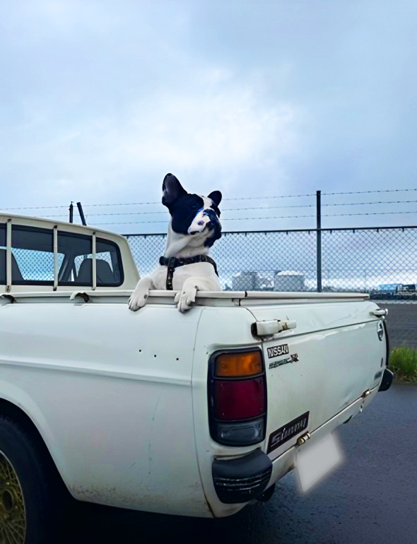 板金一筋35年。車が大好きな店主が心を込めて修理致します。